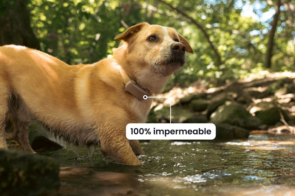 LOCALIZADOR INTELIGENTE PARA MASCOTAS