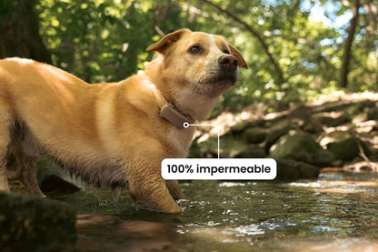 LOCALIZADOR INTELIGENTE PARA MASCOTAS - GPETS™ - SEGUIDOR GPS